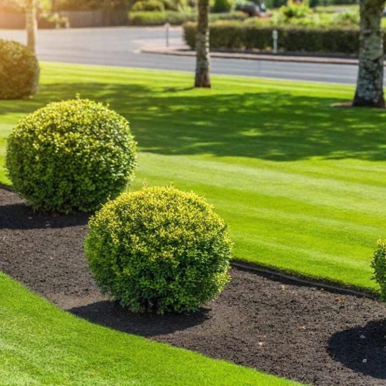 Rollrasen, Bepflanzung & Gartenpflege Rollrasen, Bepflanzung & Gartenpflege